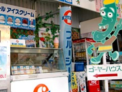 ゴーヤーハウス