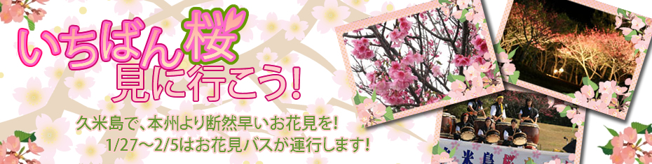 久米島桜まつり 