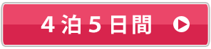 4泊5日間