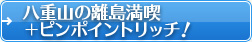 八重山の離島満喫＋ピンポイントリッチ！