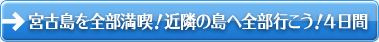 宮古島を全部満喫！　近隣の島へ全部行こう！４日間