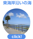東海岸沿いの海