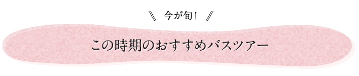 今が旬！この時期のおすすめバスツアー