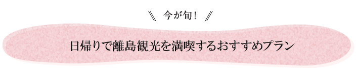 今が旬！日帰りで離島観光を満喫するおすすめプラン