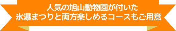 お楽しみオプションプラン！