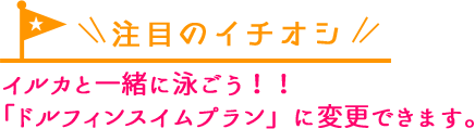 注目のイチオシ