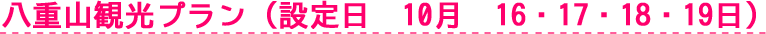 八重山観光プラン（設定日　10月　16・17・18・19日）