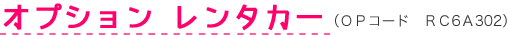 オプション レンタカー