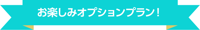お楽しみオプションプラン！
