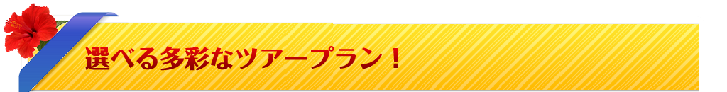 ツアーラインナップ