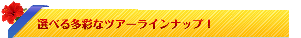 ツアーラインナップ