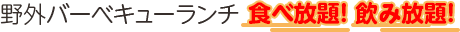 野外バーベキューランチ食べ放題！ 飲み放題！