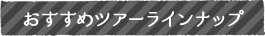 おすすめツアーラインナップ