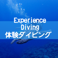 体験ダイビング
