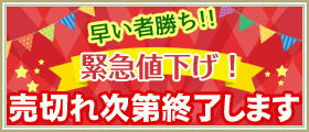 売切れ次第終了します