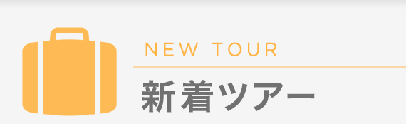 NEW TOUR 新着ツアー