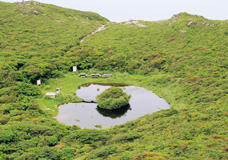 カンビキ山