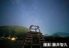 よたね広場