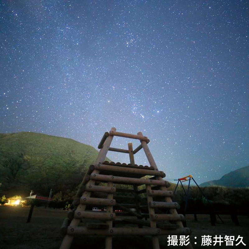 よたね広場