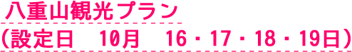八重山観光プラン（設定日　10月　16・17・18・19日）
