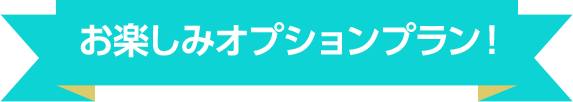 お楽しみオプションプラン！