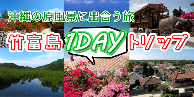竹富島1dayトリップ