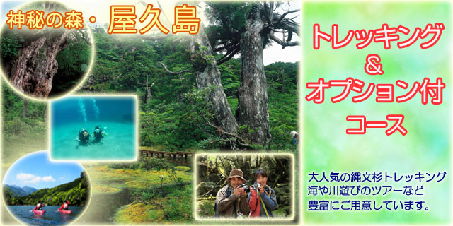 オプショナルツアー