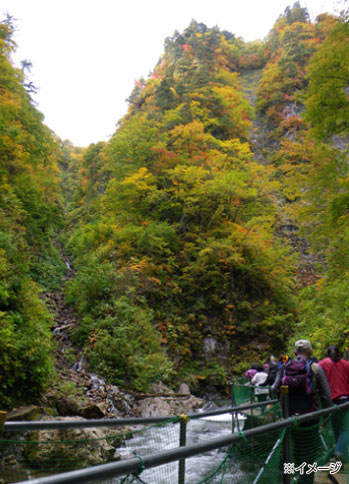 白神山地イメージ