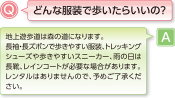 どんな服装で歩いたらいいの？