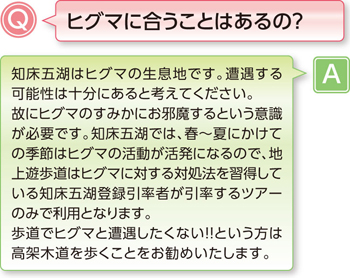 ヒグマに合うことはあるの？