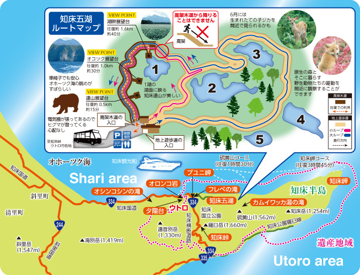 知床五湖ルートマップマップ