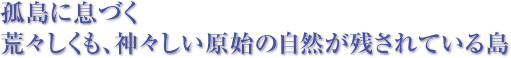 孤島に息づく 荒々しくも、神々しい原始の自然が残されている島