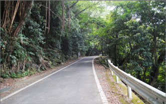 西部林道