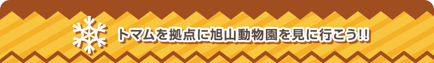 トマムを拠点に旭山動物園を見に行こう!!