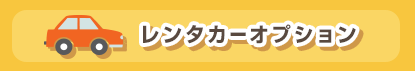レンタカーオプション