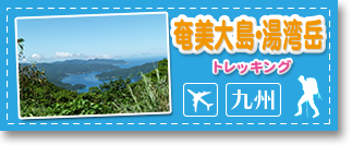 奄美大島・湯湾岳