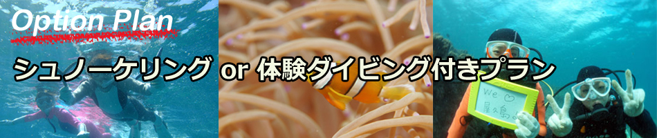 シュノーケル or 体験ダイビング