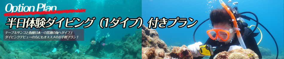 贅沢に楽しみたい方から、リーズナブルに過ごしたい方まで、お客様にぴったりな宿を多数取り揃えております。自然豊かな屋久島をたっぷり味わいたいなら、民宿がおすすめです。