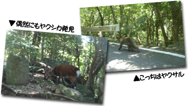 永田地区～西部林道