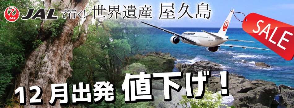 11月・12月出発値下げ！JALで行く世界遺産屋久島！