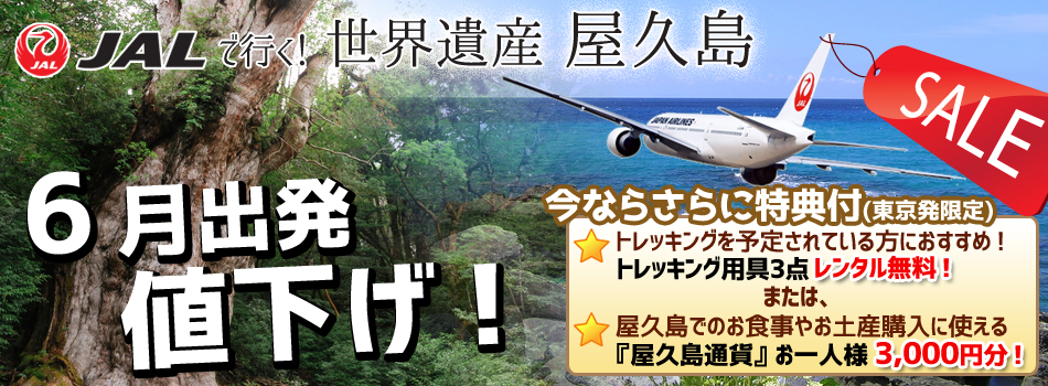 6月出発値下げ！JALで行く世界遺産屋久島！