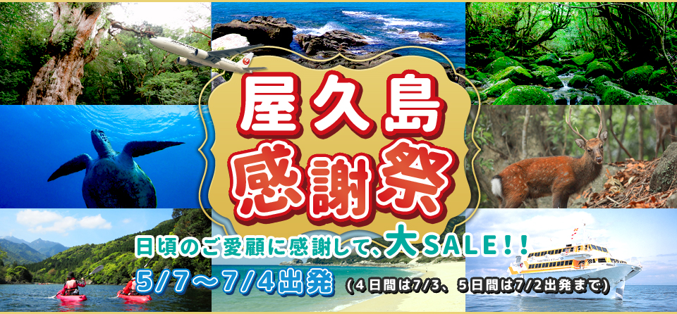 屋久島感謝祭（値下げセール）鹿児島発格安屋久島ツアー