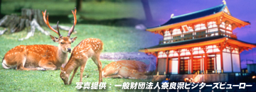 世界遺産　古都奈良の文化財