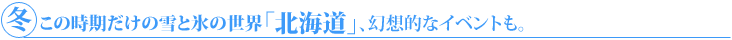 冬の北海道