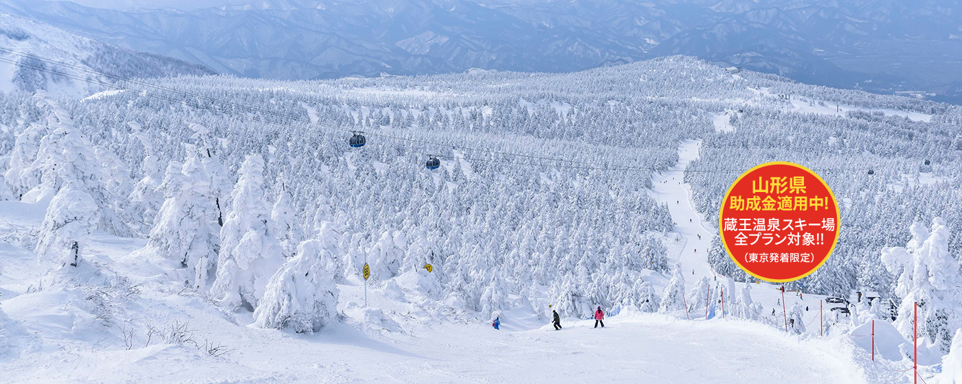 格安！！山形蔵王温泉スキー場 リフト1日券2枚セット！ - ウィンター