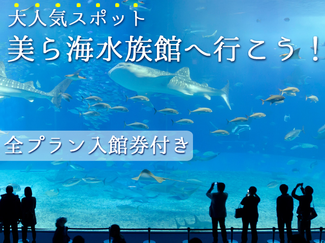 沖縄美ら海水族館入館券付き