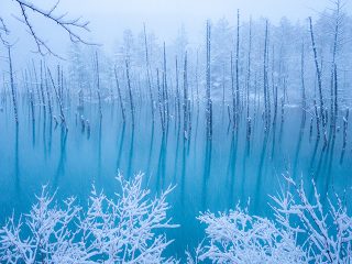 富良野・美瑛