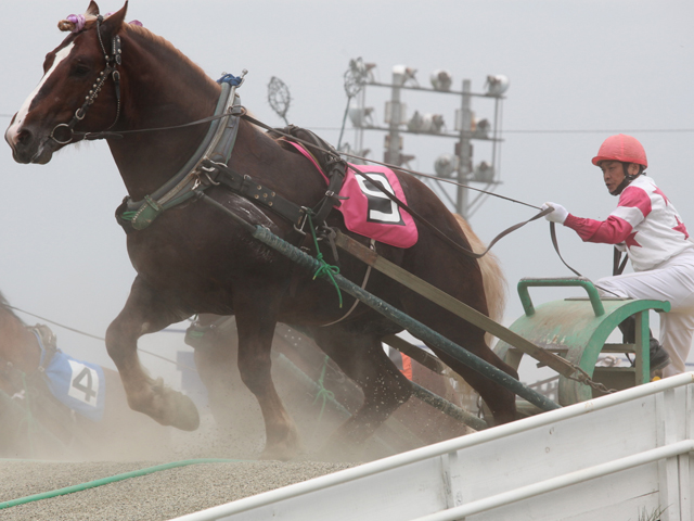 帯広競馬場