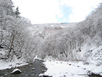 白神山地