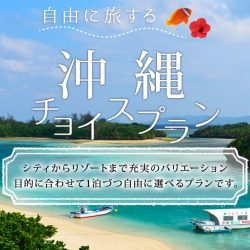 沖縄チョイスプラン（主要4発地）